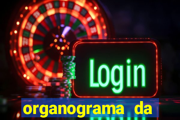 organograma da cacau show